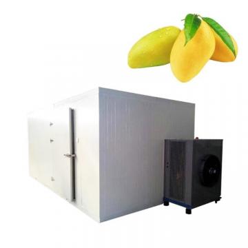 Big Industry Dryer, Fruit Dehydrator Machine