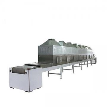 Automatic and Stainless Steel Nuts Microwave Drying Machine with Great Reputation Made in China