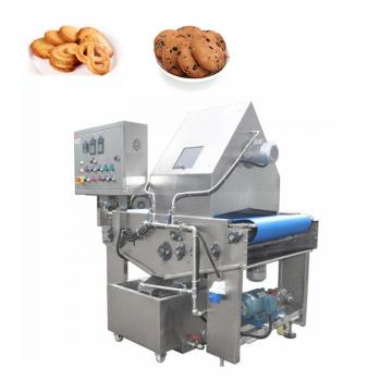 Servo Control Cookie Wire Cutting and Extruder Production Line