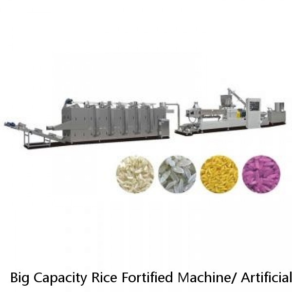 Big Capacity Rice Fortified Machine/ Artificial Nutrition Rice Making Machine Extruder/ Reconstituted Rice Processing Line