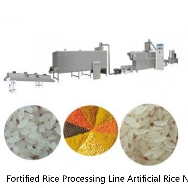 Fortified Rice Processing Line Artificial Rice Nutritional Rice Making Machine